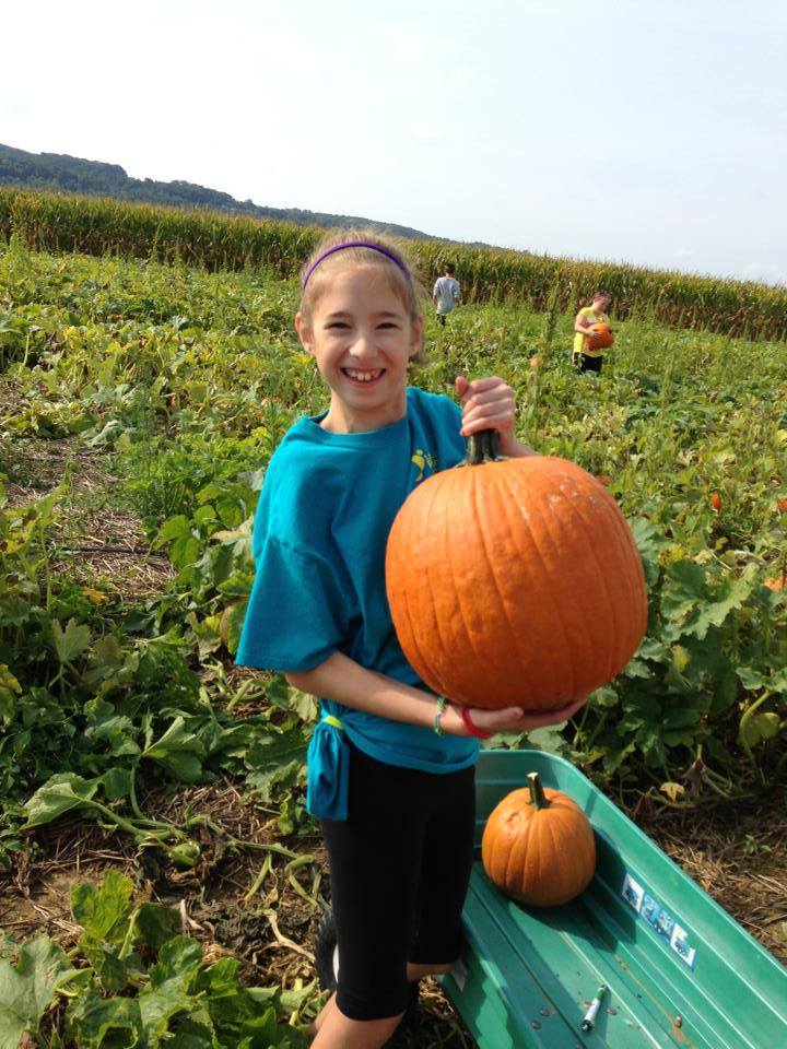 Pick and paint your own pumpkin at FLinchbaugh's Orchard & Farm Market