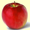 Cortland Apples available at Flinchbaugh's Orchard and Farm Market beginning in September through to April.