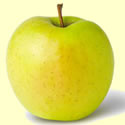 Golden Delicious apples are available at Flinchbaugh's Orchard & Farm Market starting in mid-September and are available year around.