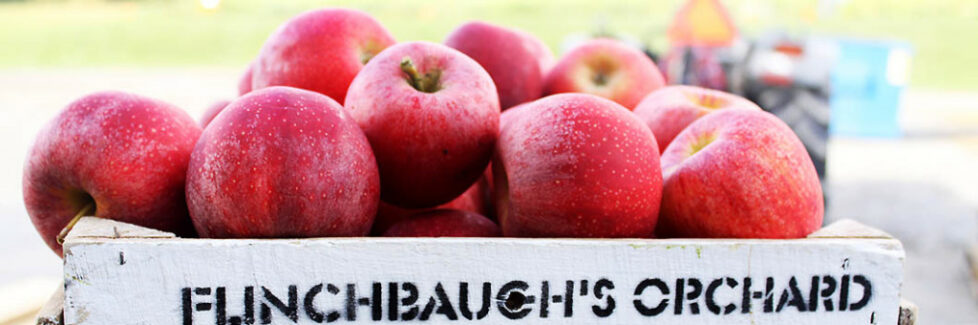 Eight varieties of apples to choose from at Flinchbaugh's Orchard & Farm Market
