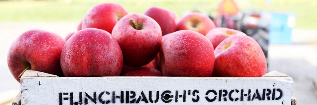 Eight varieties of apples to choose from at Flinchbaugh's Orchard & Farm Market