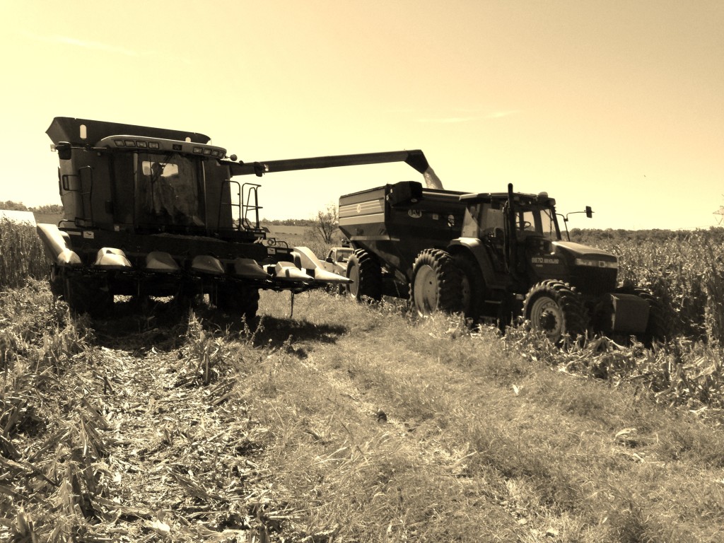 Ritchie unloading Corn at harvest time