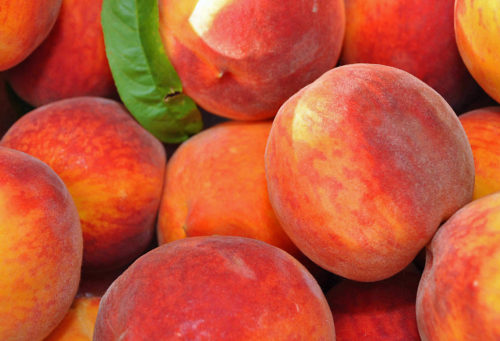 Peach Varieties