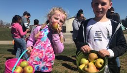 Apple Hunt - Brother & Sister