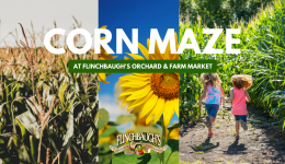 Corn-Maze-Event-Cover-2021