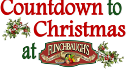 Countdown to Christmas Logo USE ME
