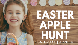 Easter Apple Hunt 2022 Website Square