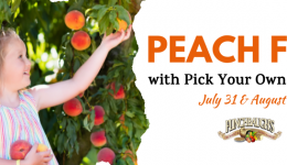Peach-Fest-Facebook-Event-Cover