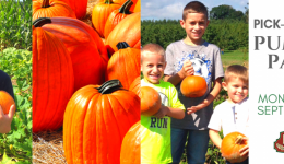 Pick-Your-Own-Pumpkins-event-cover