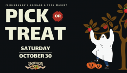 Pick-or-Treat-Facebook-Event-Cover-1