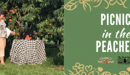 Picnic in the Peaches - Ticketspice Event Header