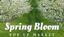 Spring Bloom - 2022 website size
