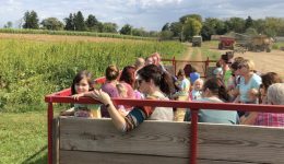 Wagon Ride - with combine in background