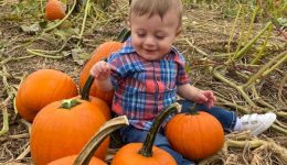 pumpkinpicking1